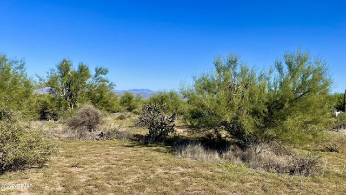 Picture of Residential Land For Sale in Scottsdale, Arizona, United States