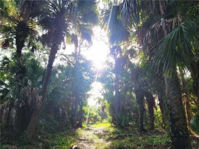 Residential Land For Sale in Fellsmere, Florida