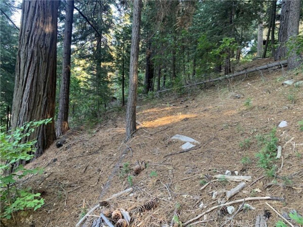 Picture of Residential Land For Sale in Twin Peaks, California, United States