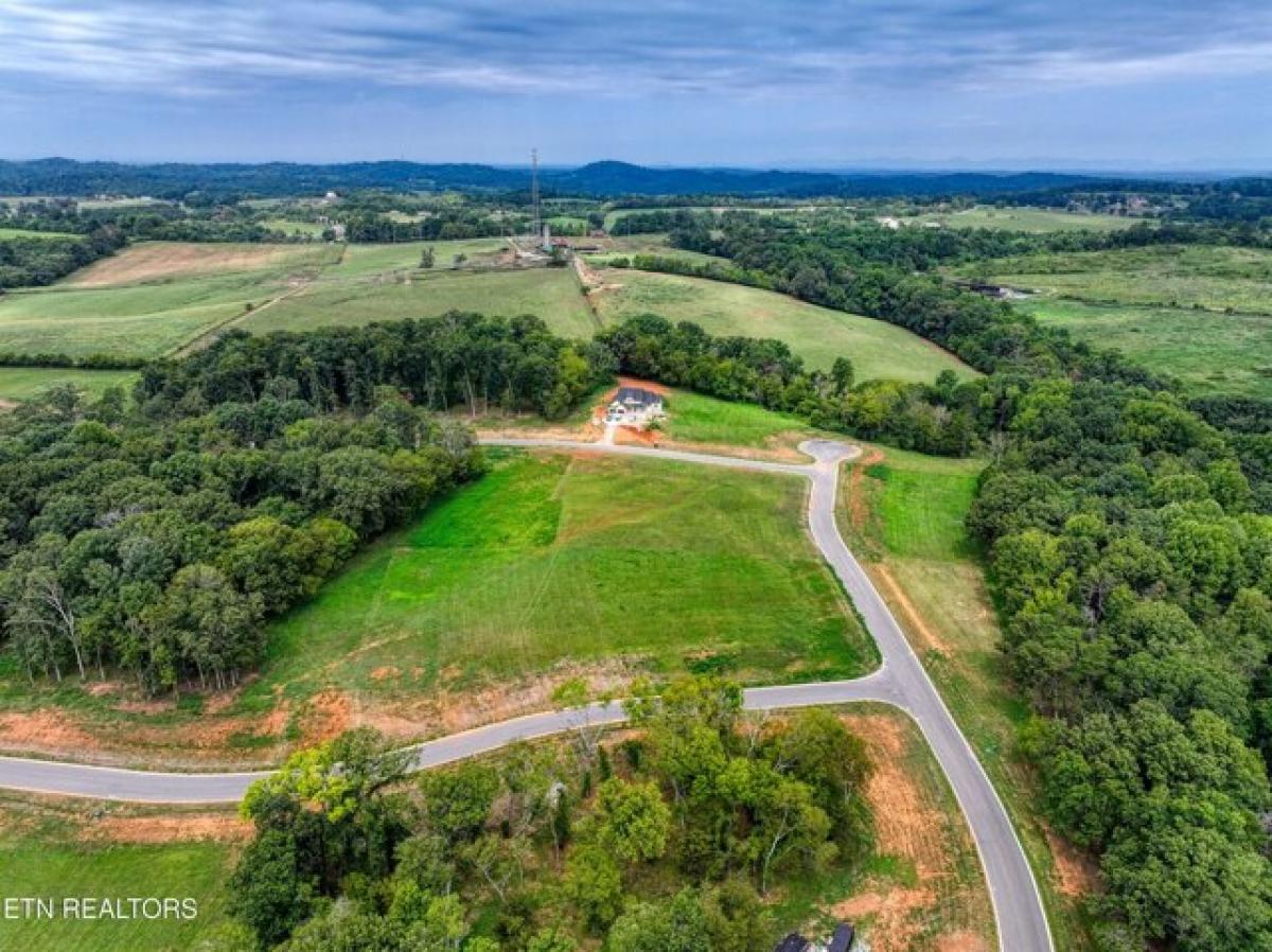 Picture of Residential Land For Sale in Greenback, Tennessee, United States