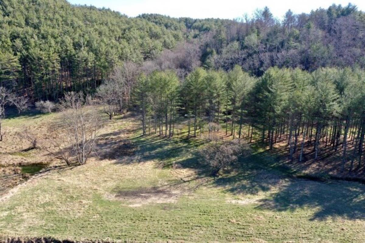 Picture of Residential Land For Sale in Galax, Virginia, United States