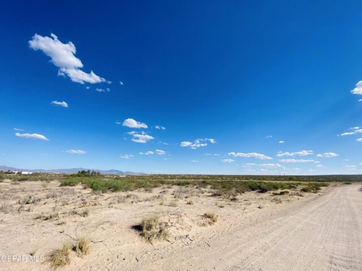 Picture of Residential Land For Sale in La Mesa, New Mexico, United States