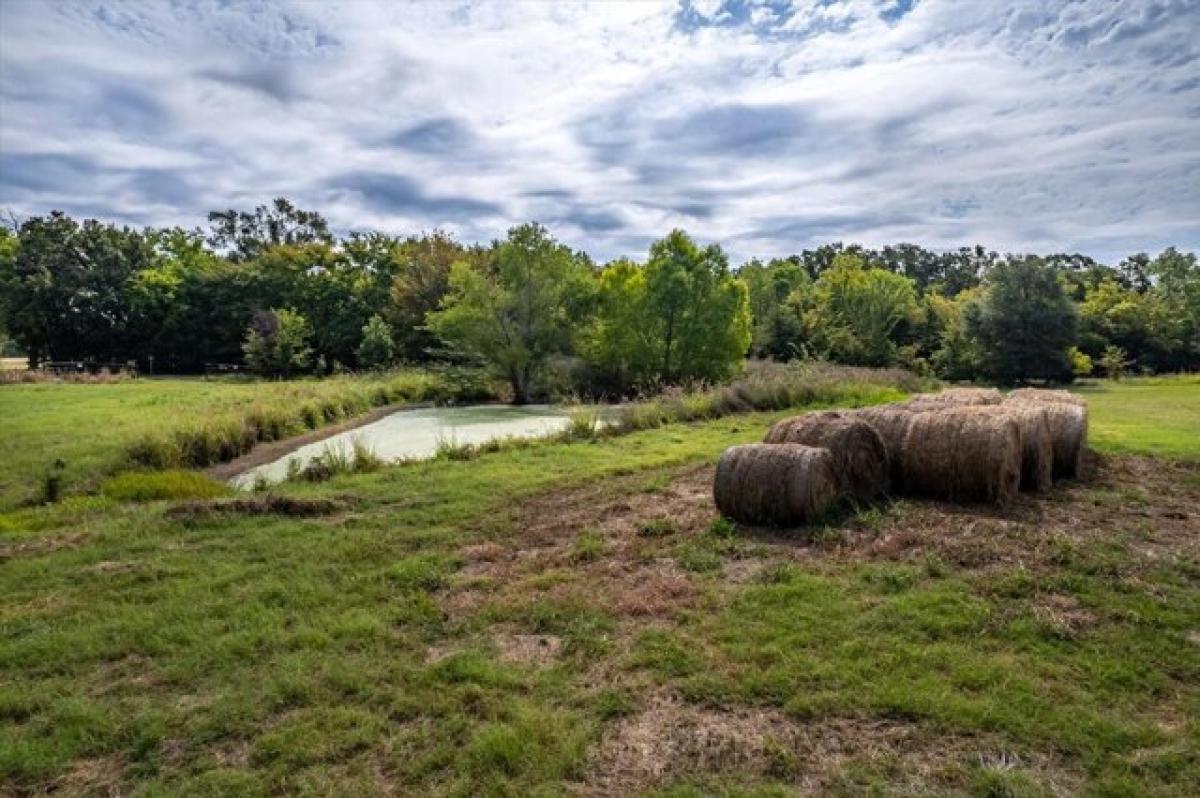 Picture of Residential Land For Sale in Emory, Texas, United States