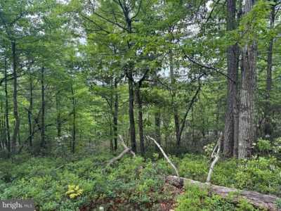 Residential Land For Sale in Fort Valley, Virginia