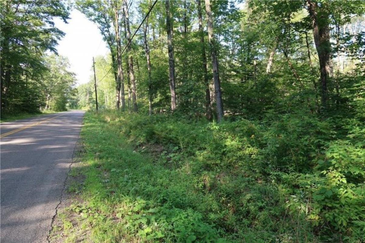 Picture of Residential Land For Sale in Willet, New York, United States