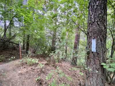 Residential Land For Sale in Davenport, Washington