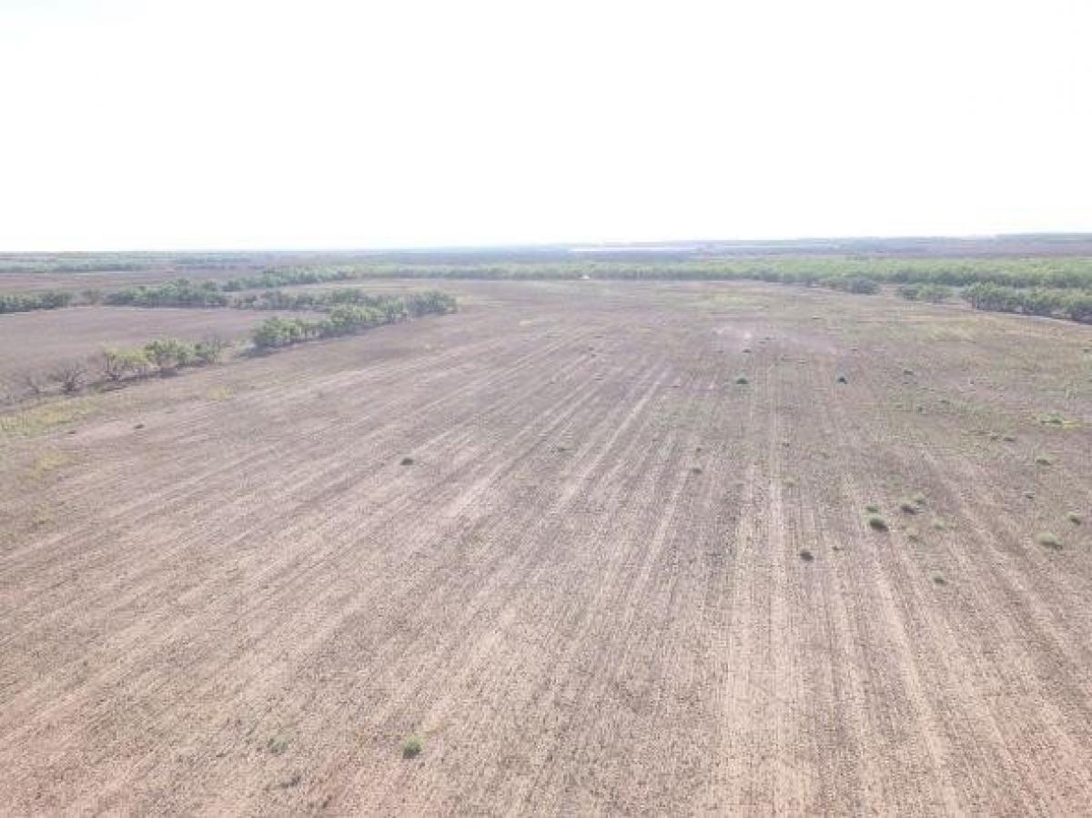 Picture of Residential Land For Sale in Roby, Texas, United States