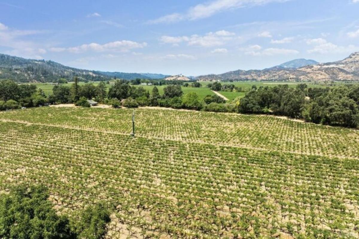 Picture of Residential Land For Sale in Calistoga, California, United States