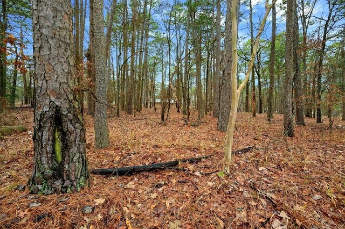 Picture of Residential Land For Sale in Broken Bow, Oklahoma, United States