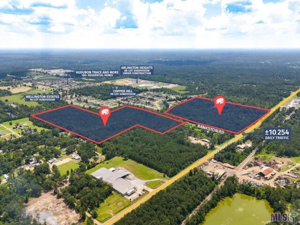 Picture of Residential Land For Sale in Hammond, Louisiana, United States