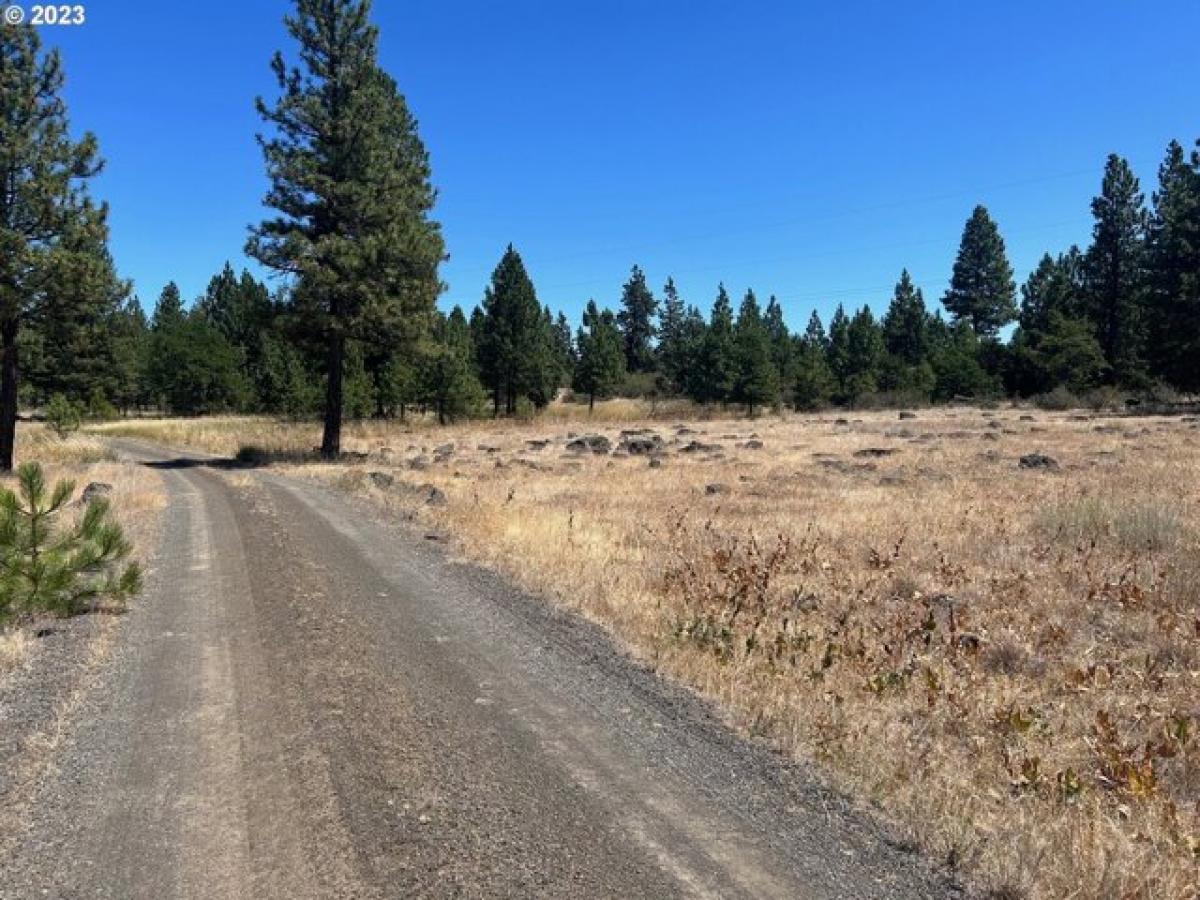 Picture of Residential Land For Sale in Goldendale, Washington, United States