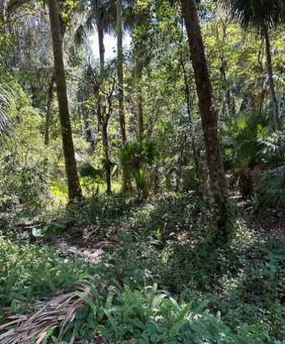 Residential Land For Sale in Debary, Florida