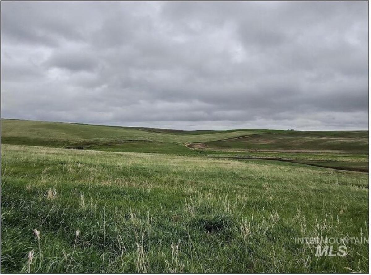 Picture of Residential Land For Sale in Nezperce, Idaho, United States