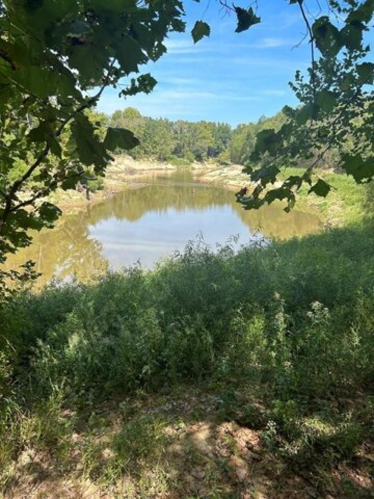 Picture of Residential Land For Sale in Port Gibson, Mississippi, United States