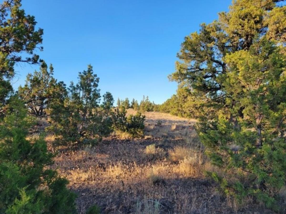 Picture of Residential Land For Sale in Prineville, Oregon, United States