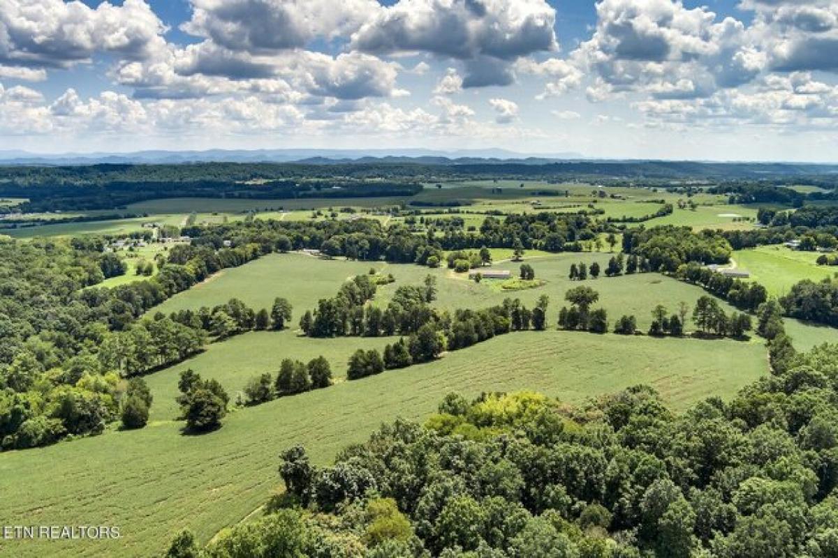 Picture of Residential Land For Sale in Sweetwater, Tennessee, United States