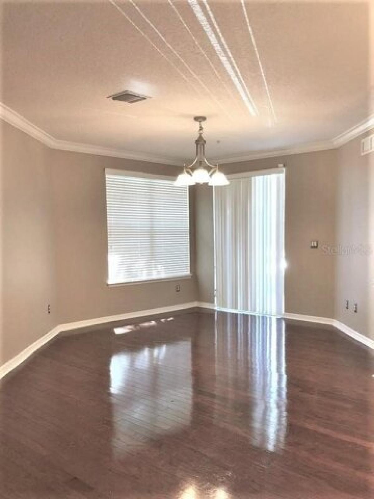 Picture of Home For Rent in Windermere, Florida, United States