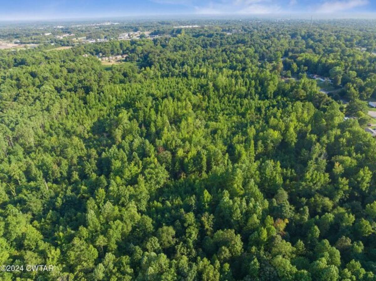 Picture of Residential Land For Sale in Jackson, Tennessee, United States