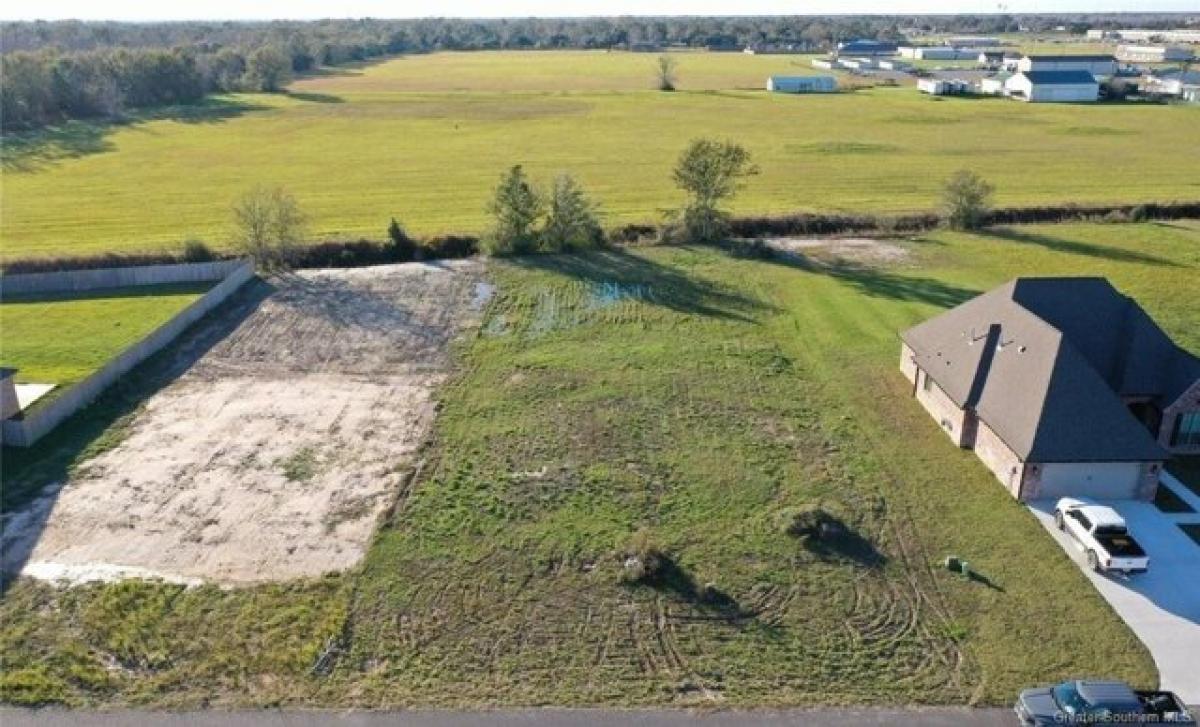 Picture of Residential Land For Sale in Iowa, Louisiana, United States