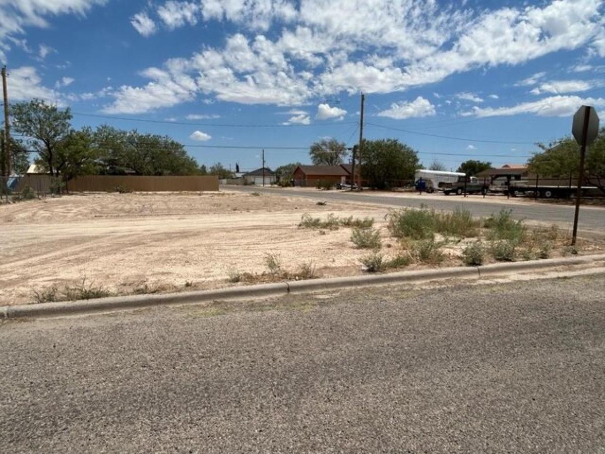 Picture of Residential Land For Sale in Fort Stockton, Texas, United States