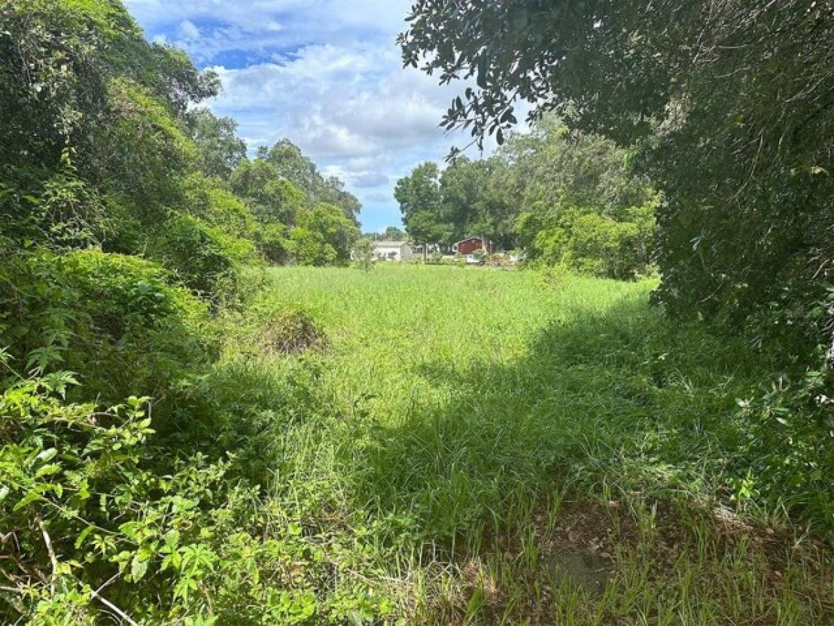 Picture of Residential Land For Sale in Lakeland, Florida, United States