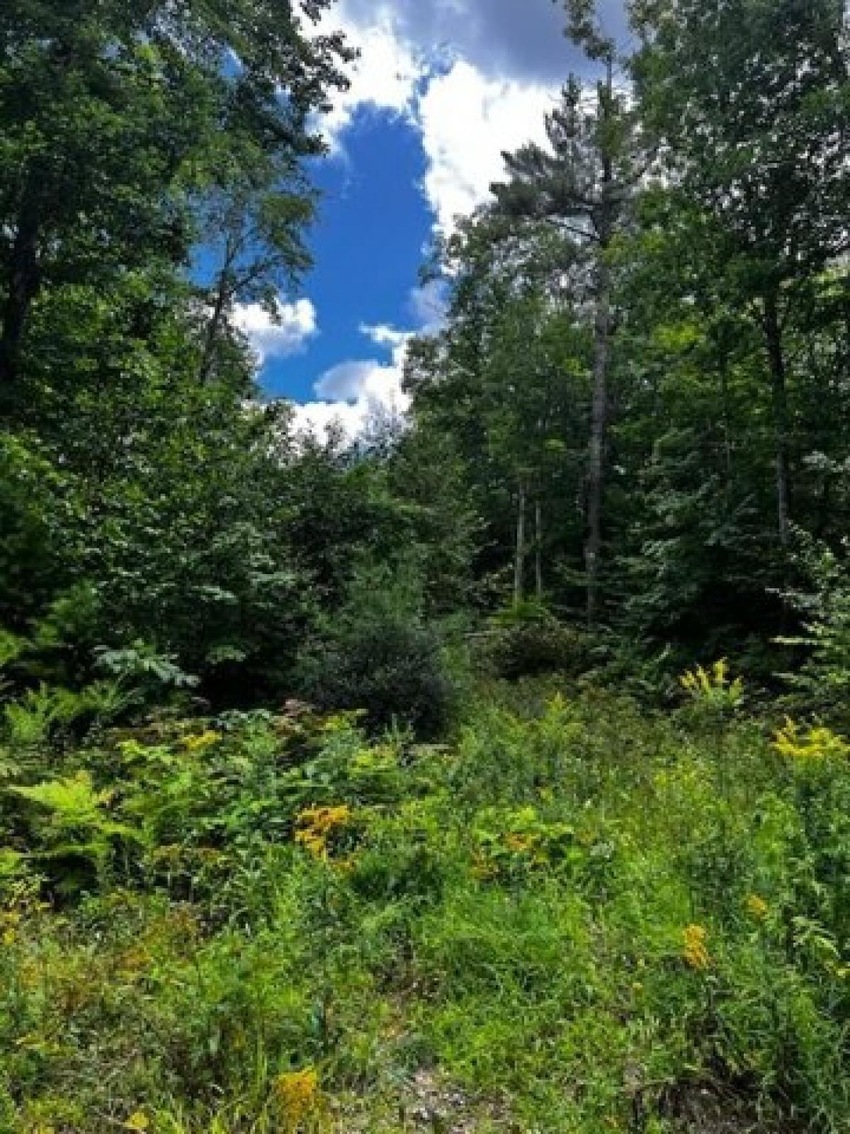 Picture of Residential Land For Sale in Poland, Maine, United States