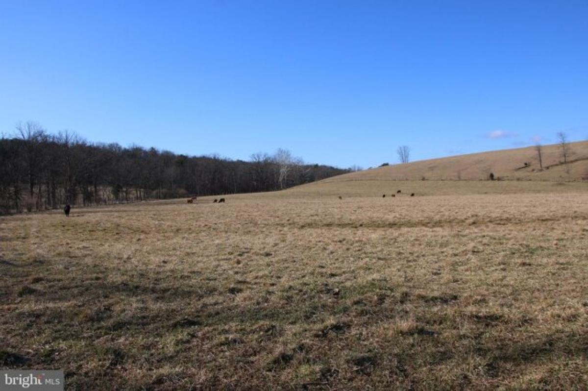 Picture of Residential Land For Sale in Winchester, Virginia, United States