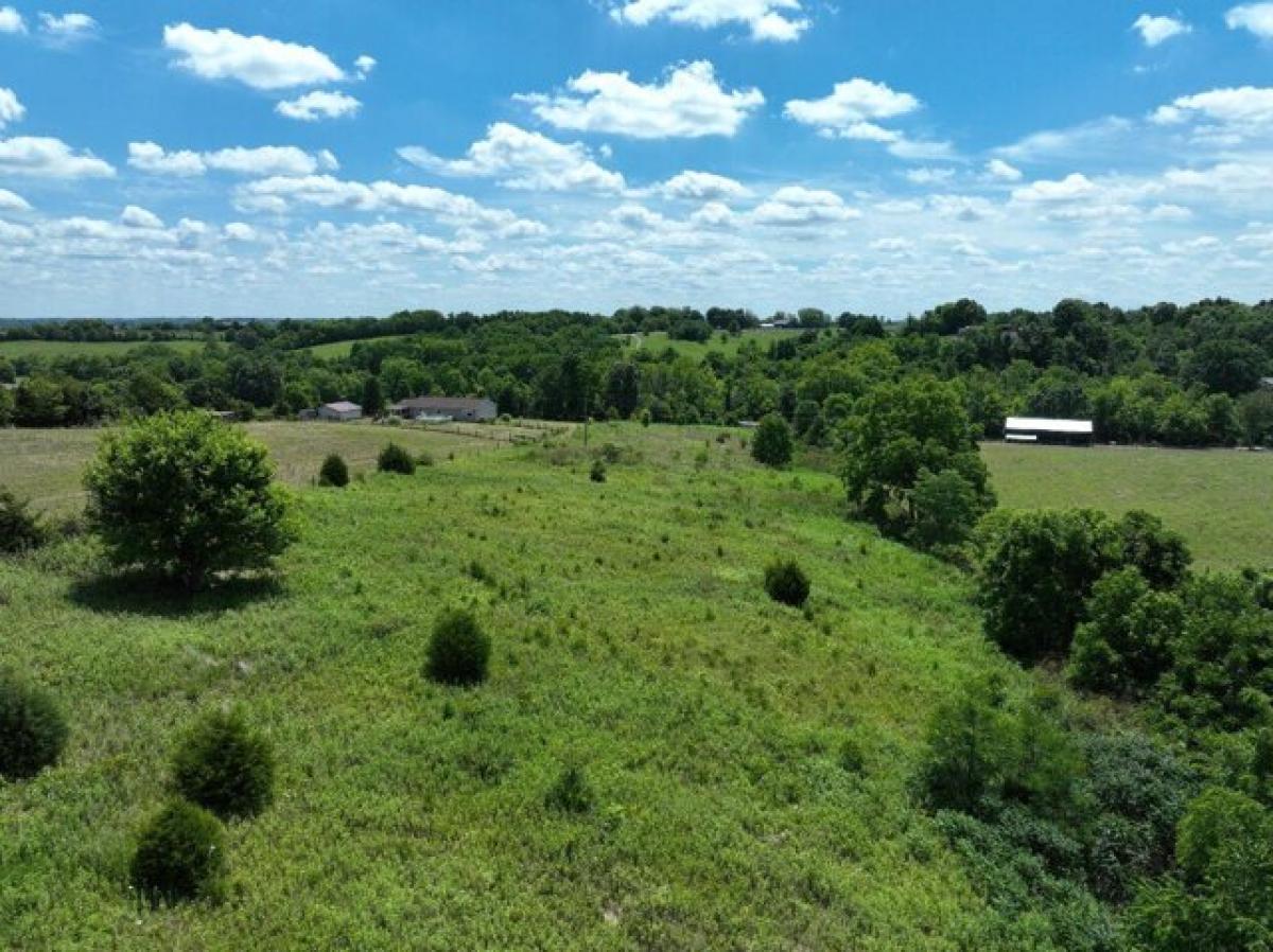 Picture of Residential Land For Sale in Berry, Kentucky, United States