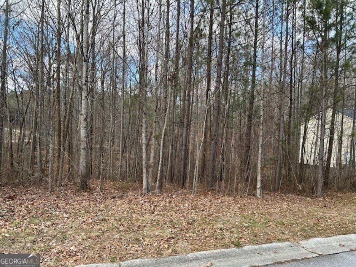 Picture of Residential Land For Sale in Dallas, Georgia, United States