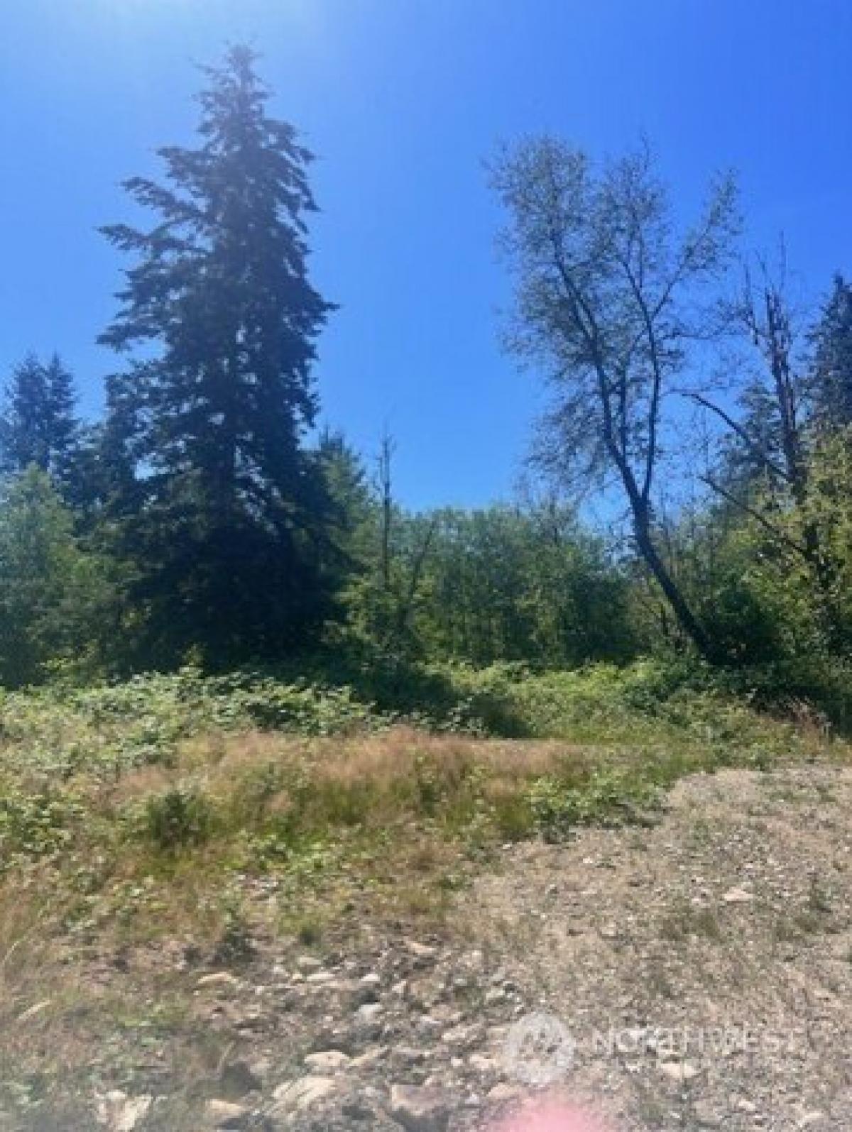 Picture of Residential Land For Sale in Maple Valley, Washington, United States