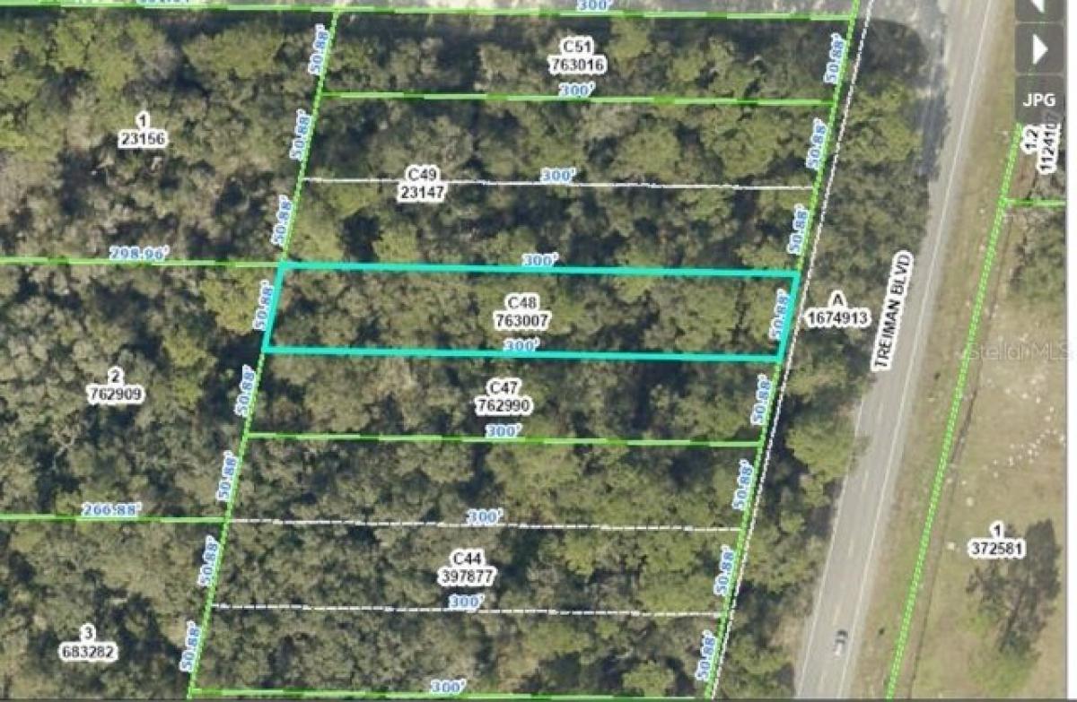 Picture of Residential Land For Sale in Webster, Florida, United States