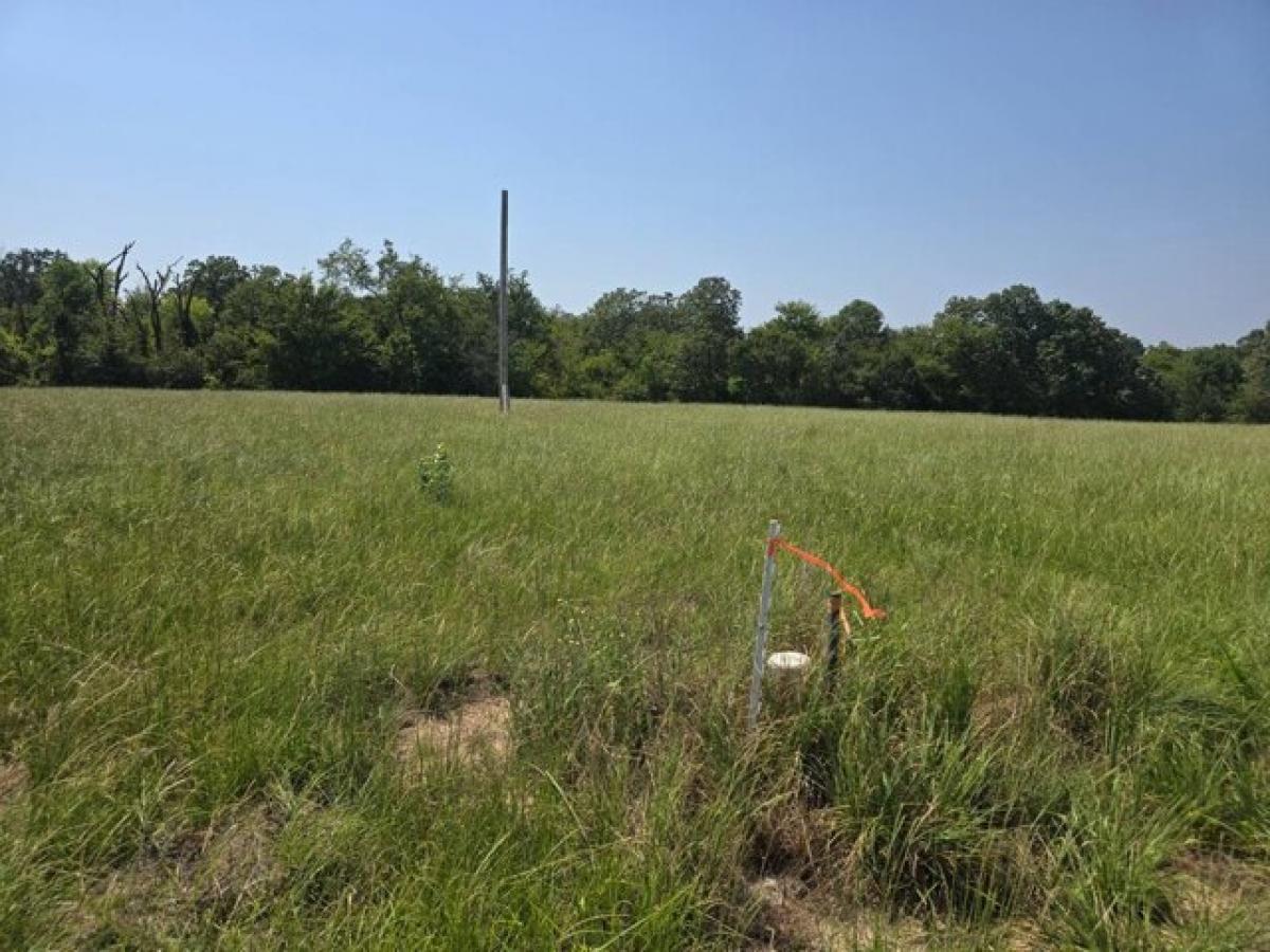 Picture of Residential Land For Sale in Antlers, Oklahoma, United States