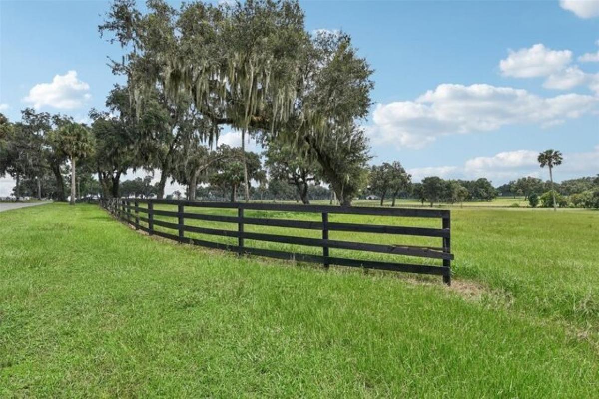 Picture of Residential Land For Sale in Summerfield, Florida, United States