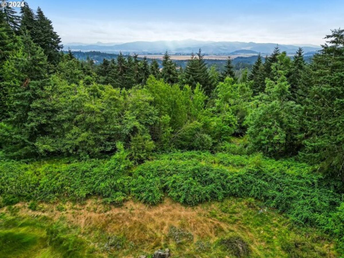 Picture of Residential Land For Sale in Eugene, Oregon, United States