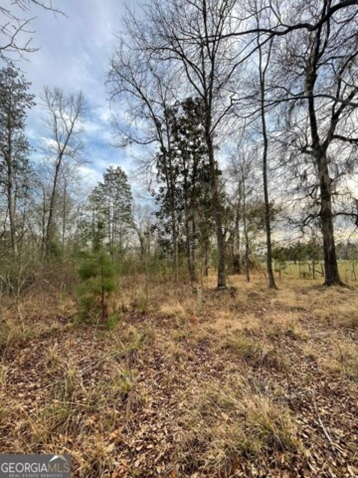 Picture of Residential Land For Sale in Hahira, Georgia, United States