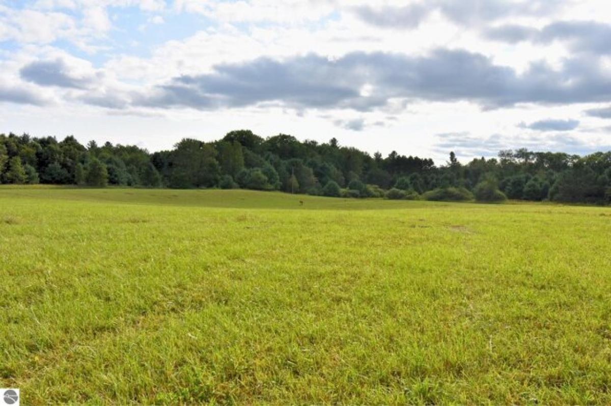 Picture of Residential Land For Sale in Glennie, Michigan, United States