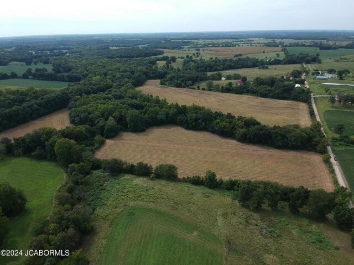 Picture of Residential Land For Sale in Clarksburg, Missouri, United States