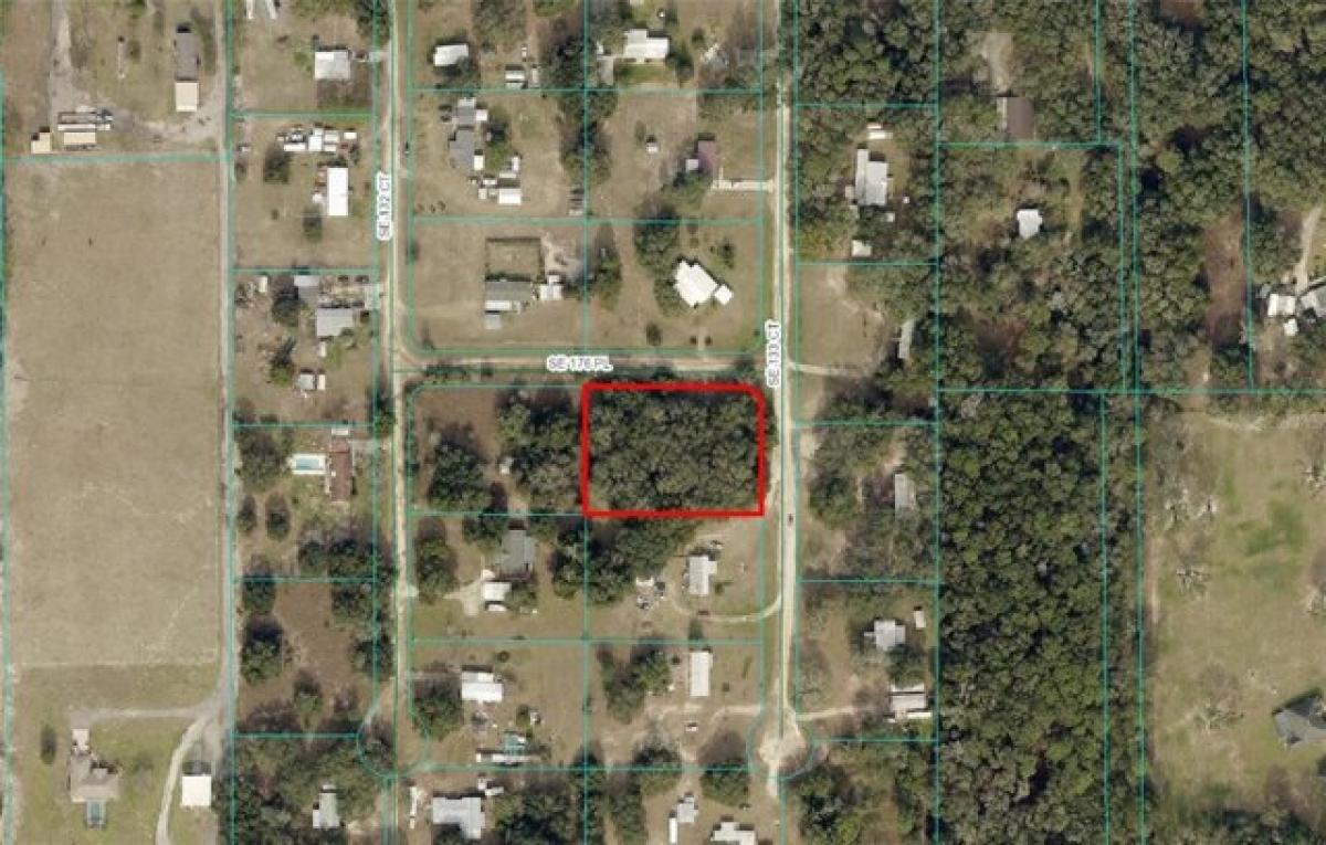 Picture of Residential Land For Sale in Weirsdale, Florida, United States