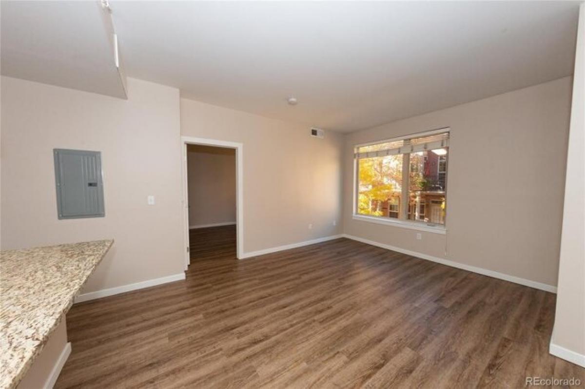 Picture of Apartment For Rent in Denver, Colorado, United States