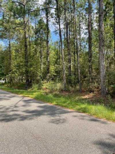 Residential Land For Rent in Bay Saint Louis, Mississippi