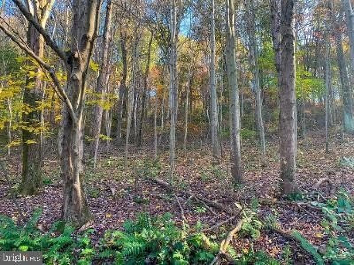 Picture of Residential Land For Sale in Felton, Pennsylvania, United States