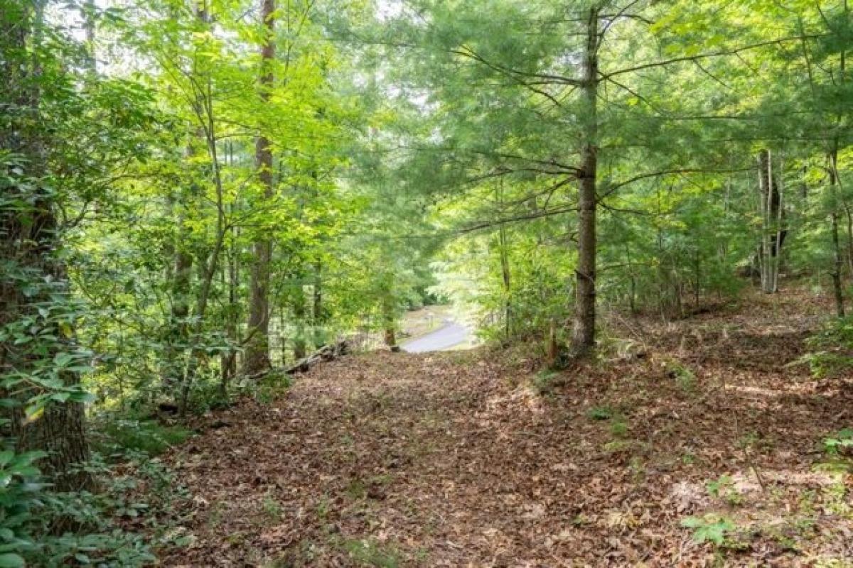 Picture of Residential Land For Sale in Blue Ridge, Georgia, United States