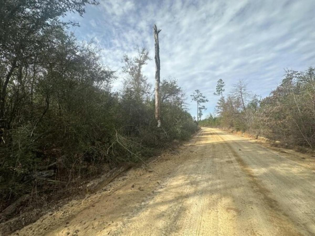 Picture of Residential Land For Sale in Bonifay, Florida, United States