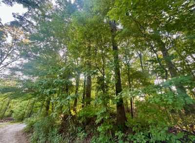 Residential Land For Sale in Spring City, Tennessee