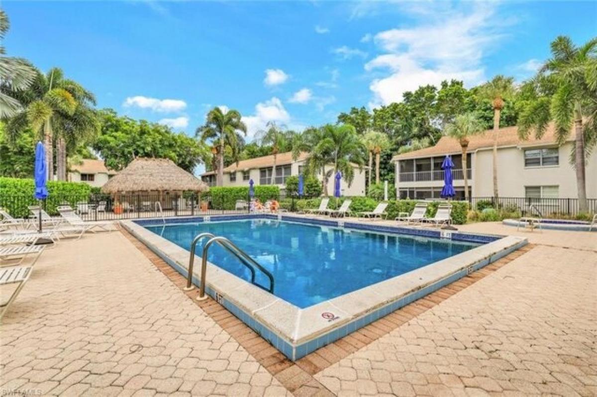 Picture of Apartment For Rent in Naples, Florida, United States