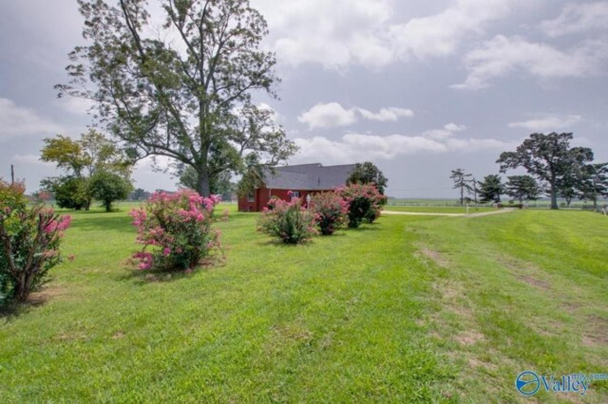 Picture of Residential Land For Sale in Ardmore, Alabama, United States