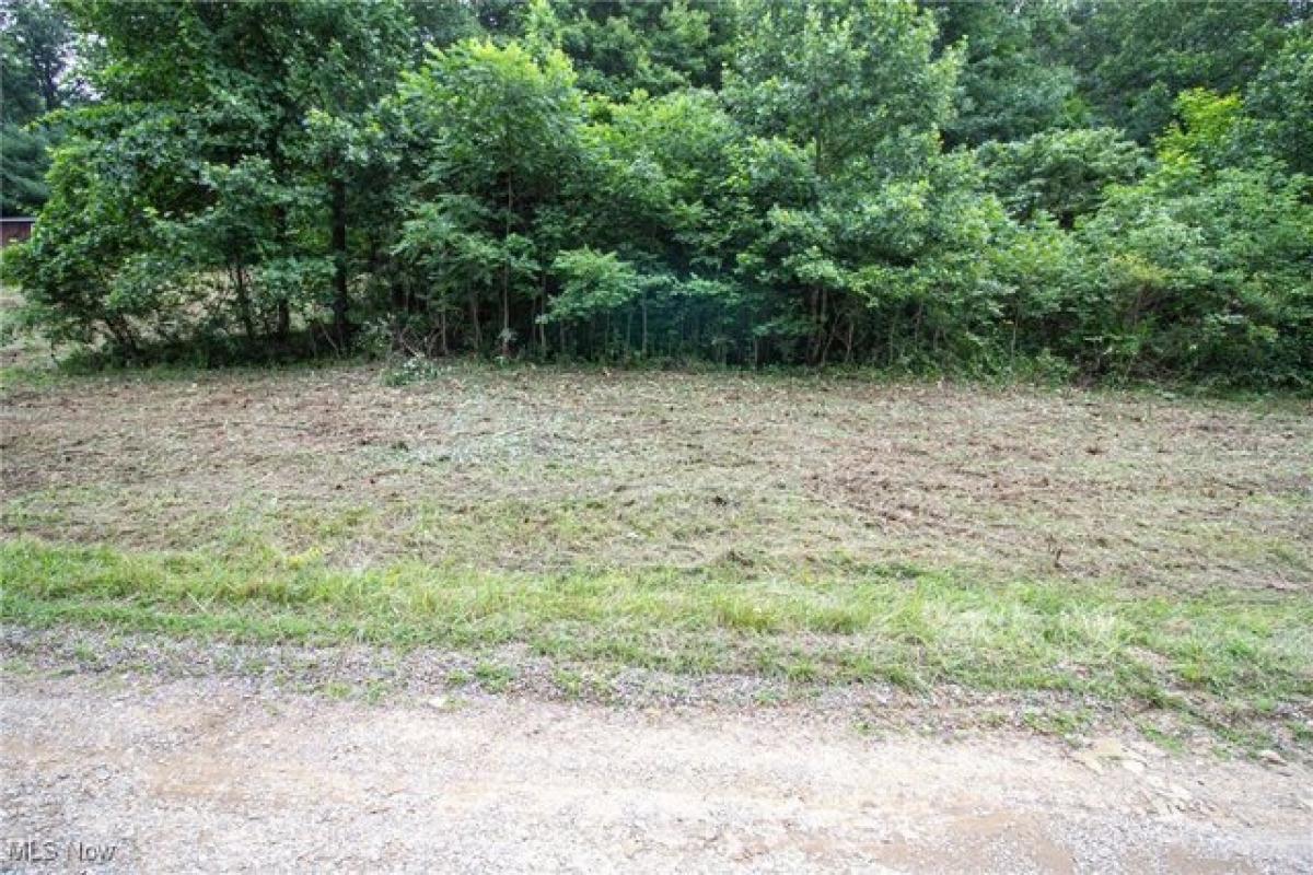 Picture of Residential Land For Sale in Cadiz, Ohio, United States