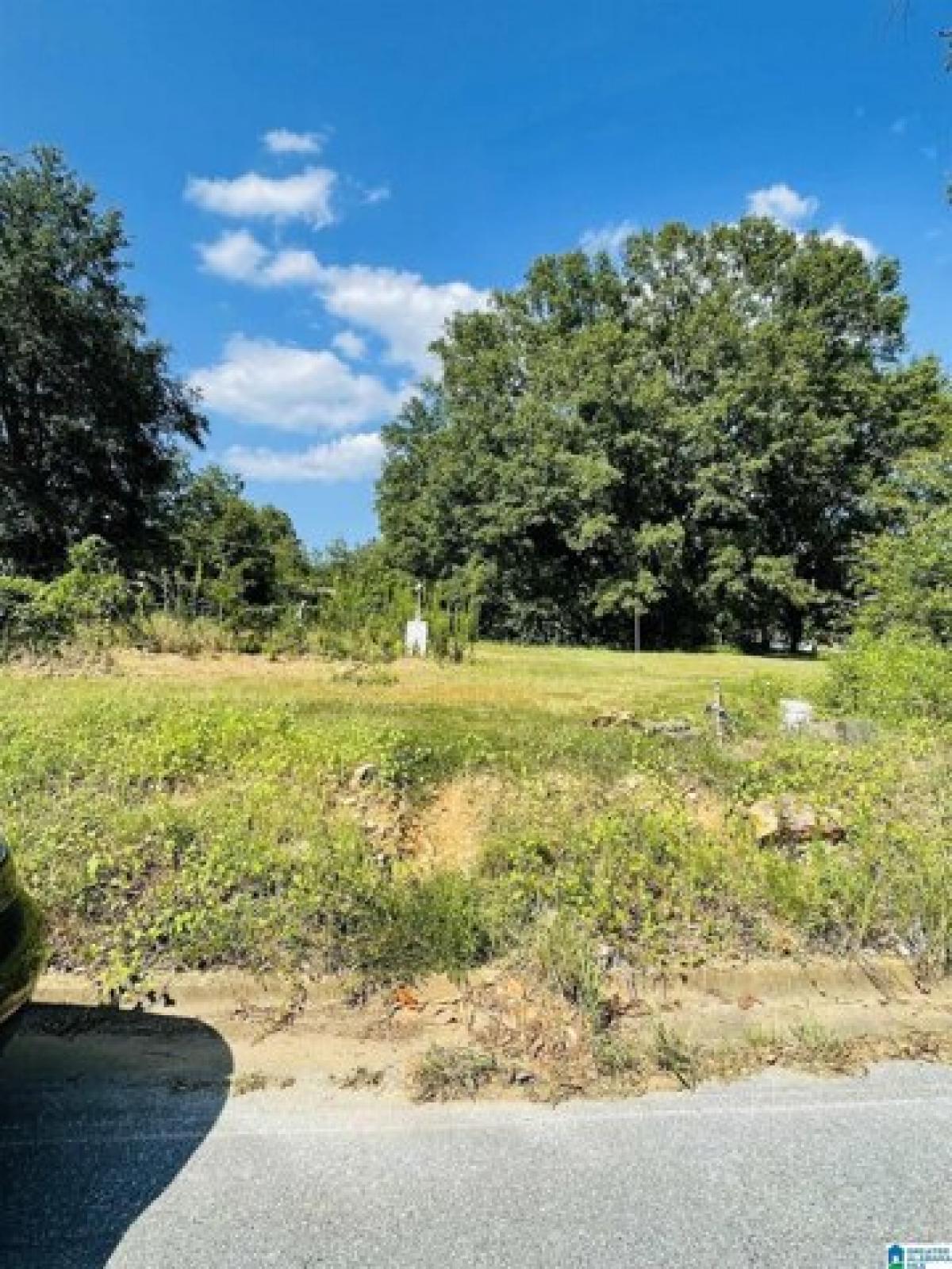 Picture of Residential Land For Sale in Sylacauga, Alabama, United States