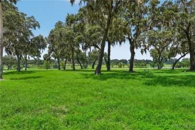 Residential Land For Sale in Summerfield, Florida