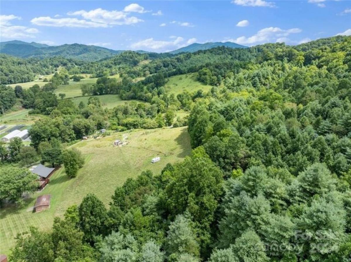 Picture of Residential Land For Sale in Burnsville, North Carolina, United States